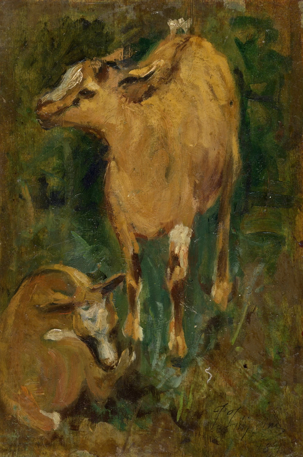  3-Francesco Filippini-Animali 
